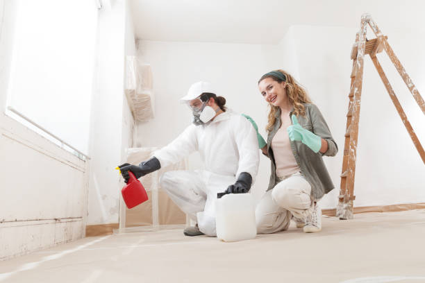 Best Crawl Space Mold Remediation  in USA